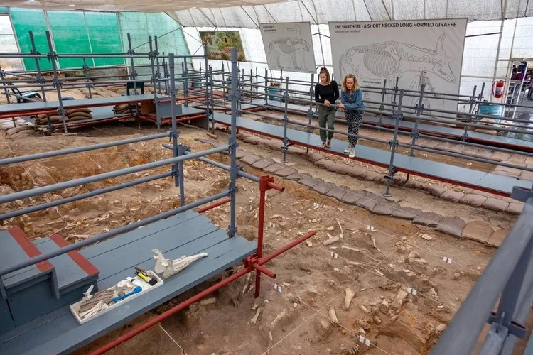 West Coast Fossil Park